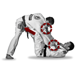 Curriculum Brazilian Jiu-Jitsu for Beginners