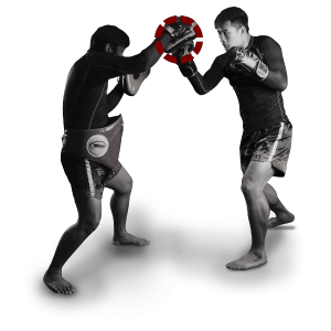 Curriculum Boxing for Beginners