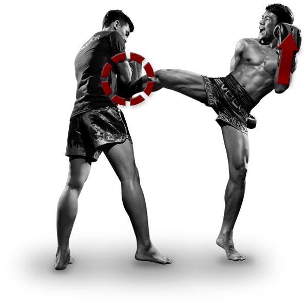 Tutorial Muay Thai