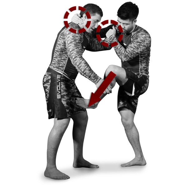 Tutorial Self-Defense