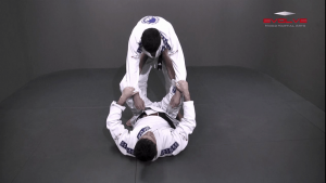 Triangle From Spider Guard
