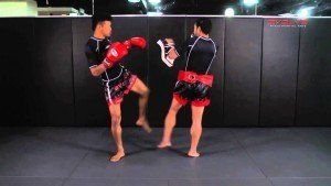 Awesome Muay Thai Liver kick KO