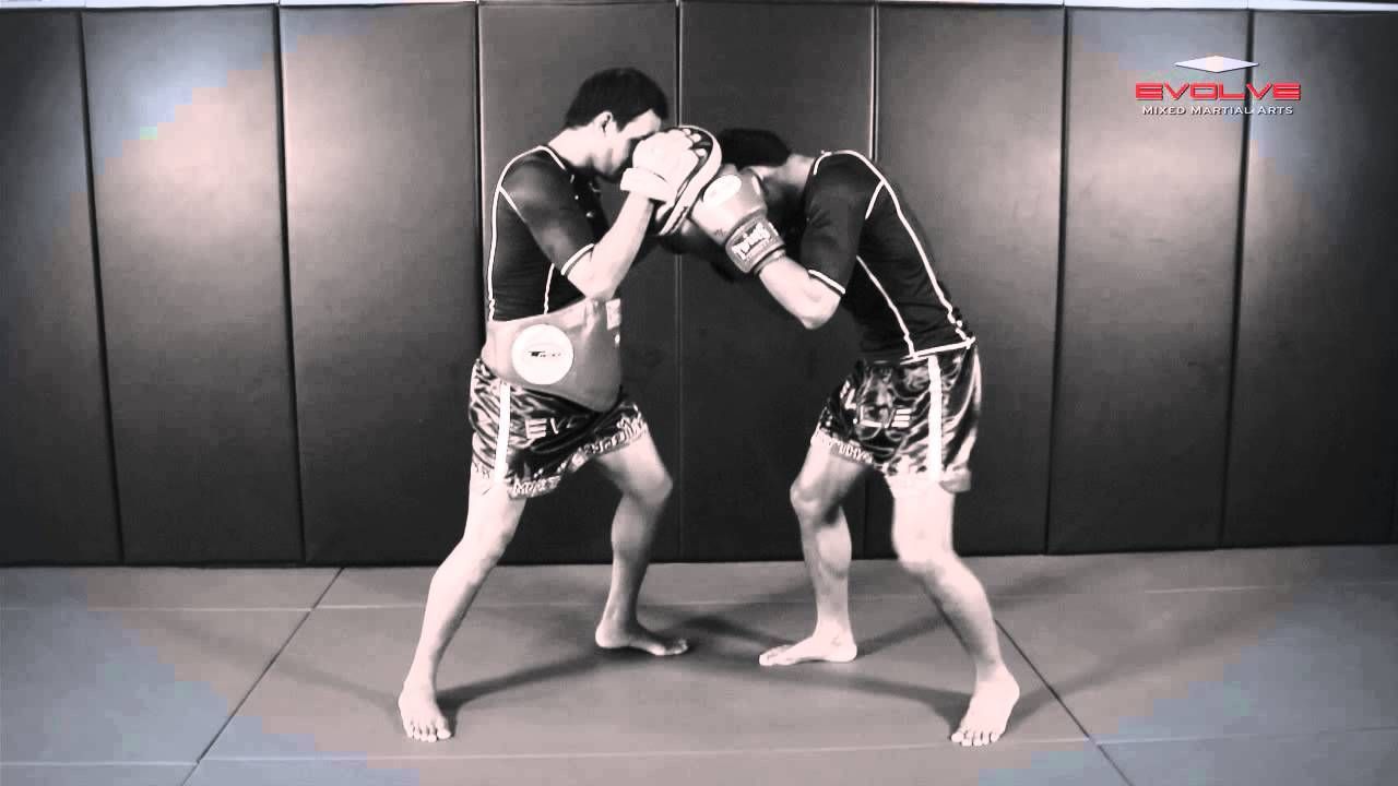 Boxing Knockout Combination - Evolve University
