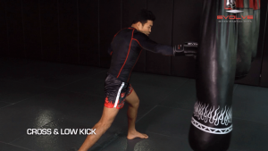 8 Low Kick Combinations