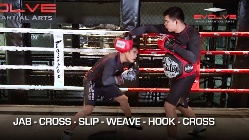 Boxing Evolve University Blog