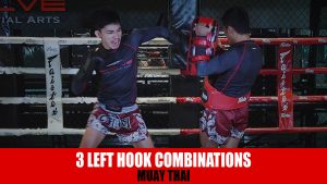 3 Left Hook Combinations