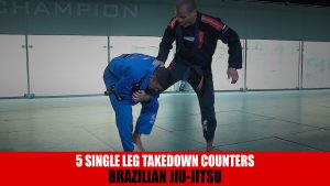 5 Single Leg Takedown Counters