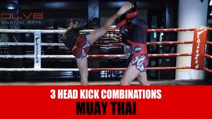 3 Head Kick Combinations