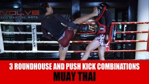 3 Roundhouse And Push Kick Combinations
