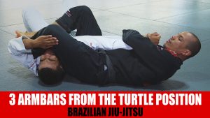 3 Armbars From The Turtle Position