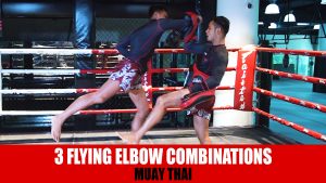 3 Flying Elbow Combinations