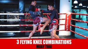 3 Flying Knee Combinations