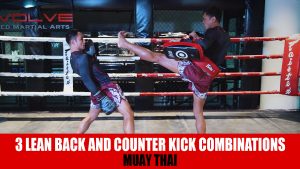 3 Lean Back And Counter Kick Combinations