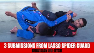 3 Submissions From Lasso Spider Guard