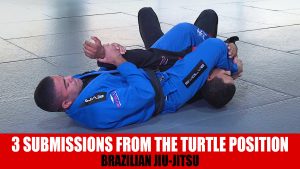3 Submissions From The Turtle Position