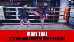 Muay Thai Catch And Counter