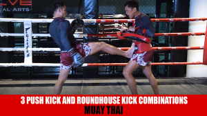 3 Push Kick And Roundhouse Kick Combinations
