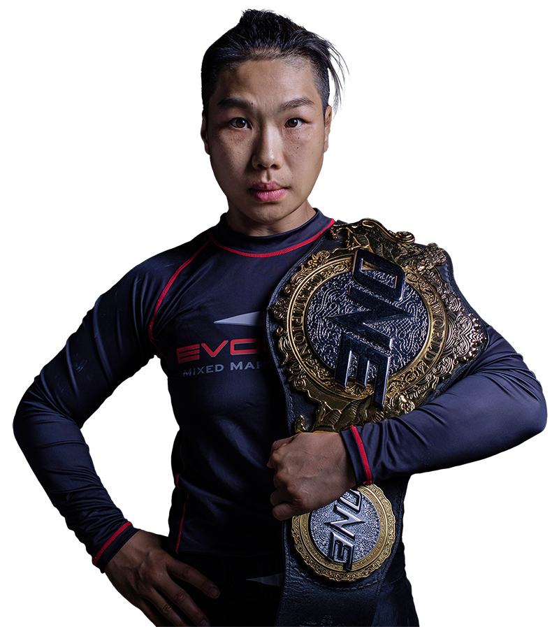 Xiong Jing Nan